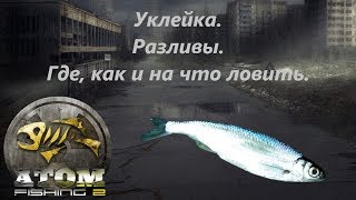 Trophy fishing 2 как поймать уклейку