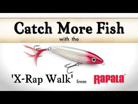 Vídeo Isca Rapala XRap Walk XRW11