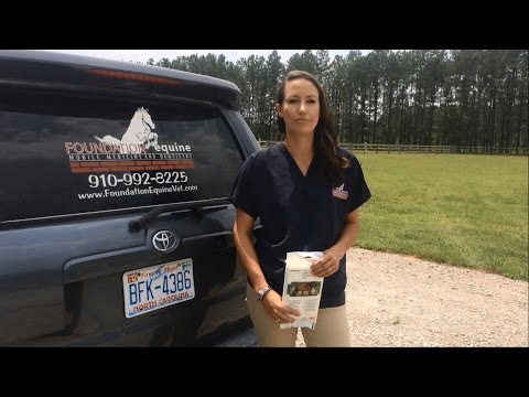 Slide 2 - Animalintex Poultice Pad 20cm x 41cm  (video)