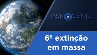 Miniatura do vídeo