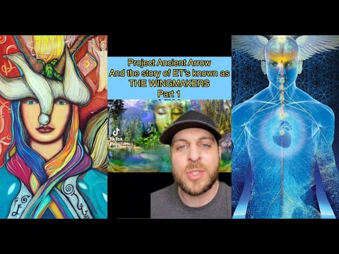 The History of Project Ancient Arrow and the story of an Alien Faction known as THE WINGMAKERS #fyp