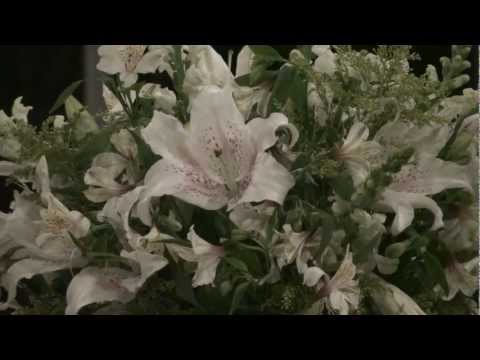 EU PEÇO A JESUS CRISTO - FLOR DE JAGUBE - MESTRE IRINEU - 64 -