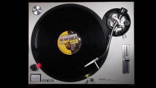 Black &amp; White Brothers - Put your hands up - SL1200MK2