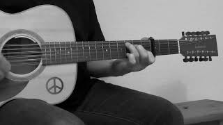 Houston – Austin Plaine-Cover – 12string Strumming