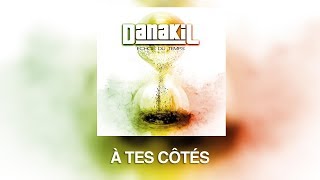 Danakil - A Tes Côtés (Album "Echos du temps")