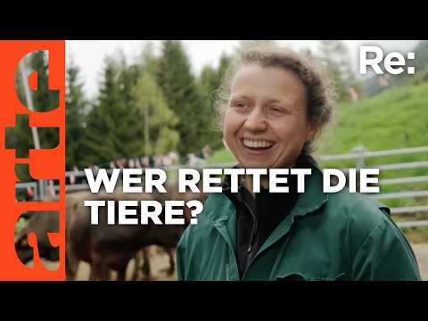 Video Thumbnail: Tierärzte in den Alpen verzweifelt gesucht | ARTE Re: