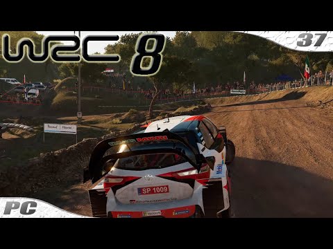 WRC 8 / XION Rally Argentina / Parque Tematico #37