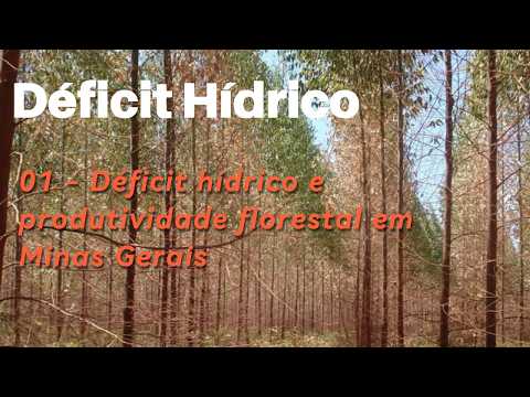 Déficit hídrico e produtividade florestal em Minas Gerais