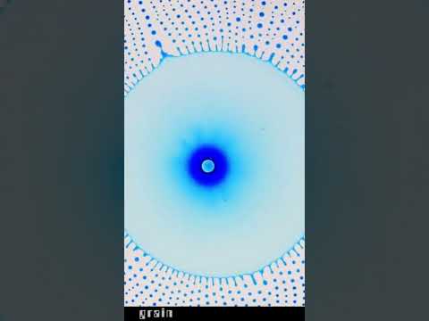 Marangoni effect on the surface of the oil