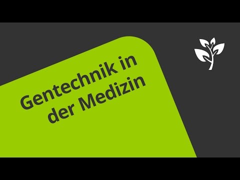 Anwendung der Gentechnik in der Medizin | Biologie | Genetik und Entwicklungsbiologie