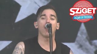Anti-Flag Live - Die For The Government @ Sziget 2014