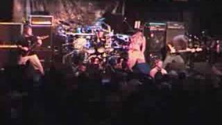 Psycroptic "Lacertine Forest"