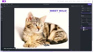 How to Edit Images Online for Free  | Full Tutorial