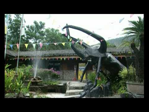 Histoires d'îles - Penang