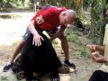Hanging Out With A Malaysian Sun Bear - YouTube