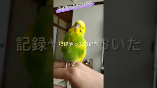 大阪弁喋り始めたライちゃん