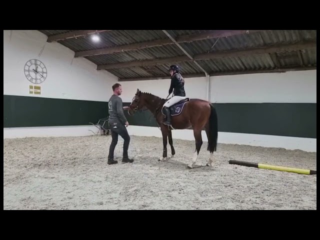 Under saddle