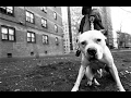Aggressive Hardcore Rap Beat PITBULL Old School Hip Hop Instrumental Cavula