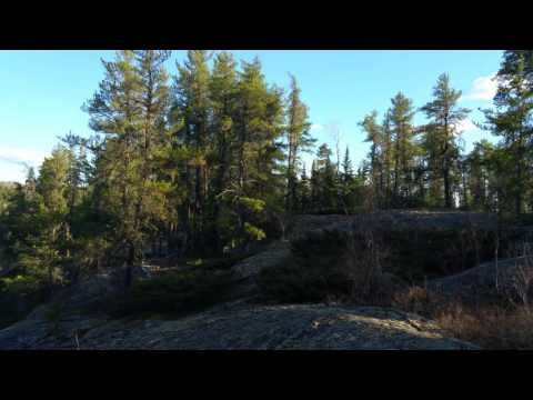 Gerhard's World....!!!