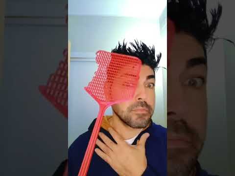 Insetti Imprevedibili: Risate a Sei Zampe! #funny #comedy #stitch #memes #duet #humor