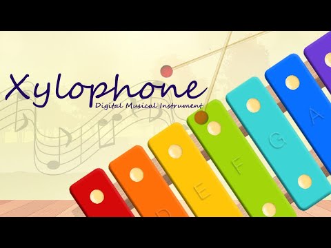 Xylophone - Musical Instrument