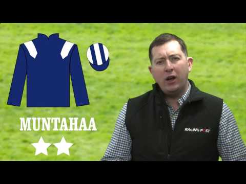 St Leger horse-by-horse guide