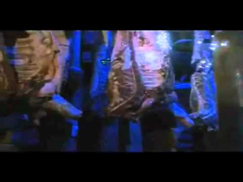 PREDATOR MUSIC VIDEO   DMX PARTY UP