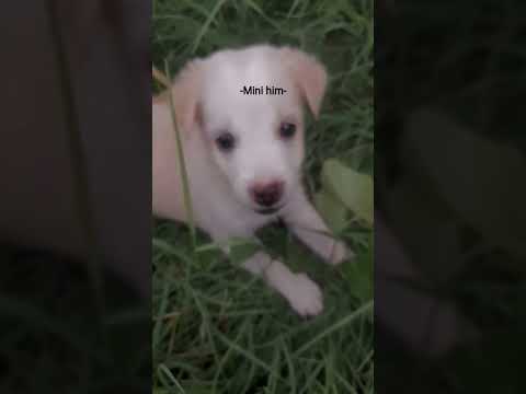 #Little Baby 🍼💕