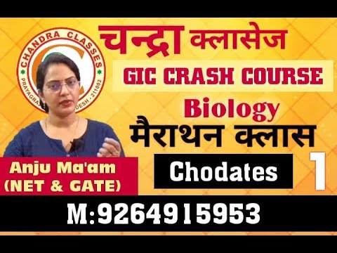 GIC CRASH COURSE || ANIMAL KINGDOM || CHORDATA PART 1 || BY ANJU MAM