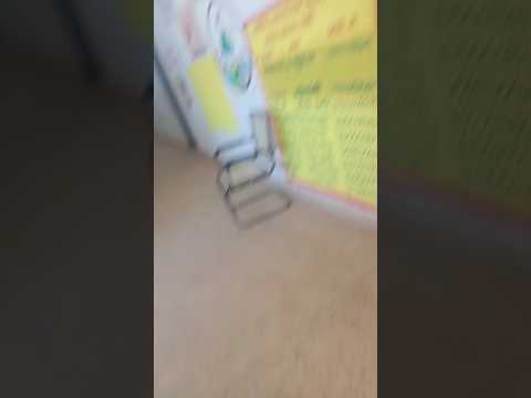 #shorts#shortsfeed #shortsvideo #shortsviral #shortsyoutube