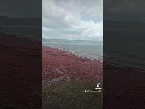 São Simão - GO.  Prainha ❤️