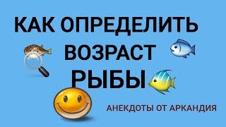 Как узнать возраст рыбы по чешуе
