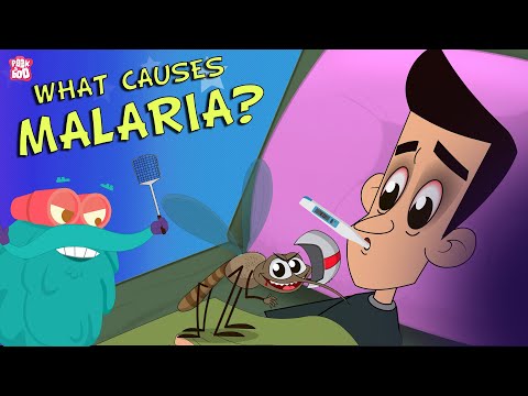 What Causes MALARIA? The Dr. Binocs Show | Best Learning Videos For Kids | Peekaboo Kidz