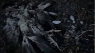 Gary Numan - 'The Fall' Official Promo Video