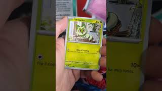 Treasure or Trash? The Dog Ate My Pulls – Journey Together