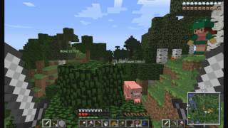 preview picture of video 'TheDiamondWorld |LuckyBlocks For Days| #12'