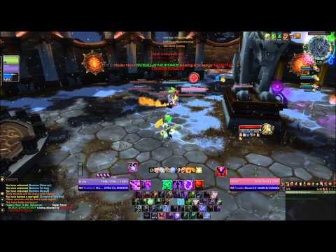 3v3 arena affliction warlock, resto shaman, beastmastery hunter