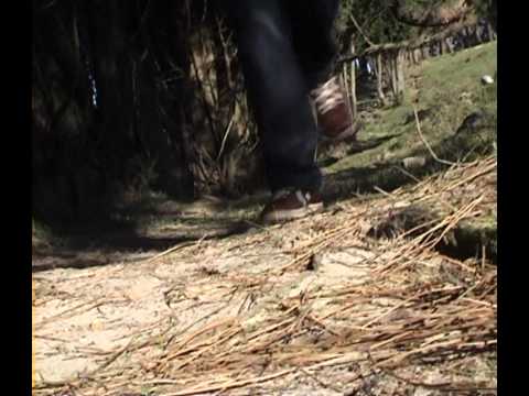 Runaway man (Darren Willis, 2013)