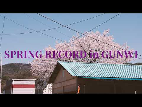 RECORD #1 봄