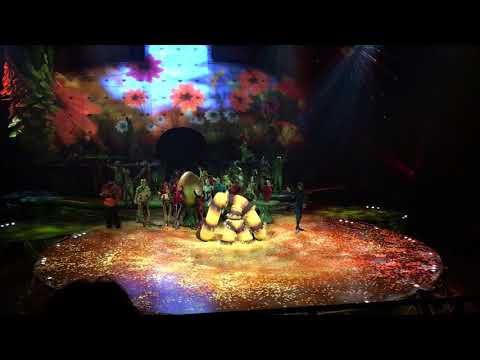 'Ovo' by Cirque du Soleil in Geneva