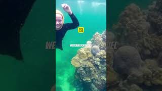 Download lagu Top 10 Must-Visit Places in Batam, Indonesia! 🇮🇩 mp3 Download lagu Top 10 Must-Visit Places in Batam, Indonesia! 🇮🇩 mp3