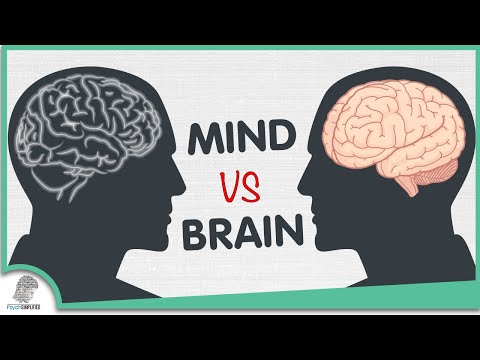 Mind VS Brain: The 5 Differences