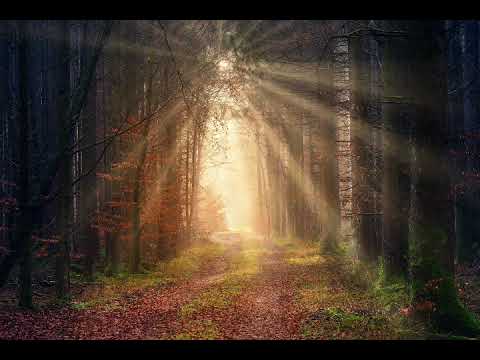 15 MINUTES of Flowing Water and Nature Sounds Mindfulness Meditation Relaxing Soothing