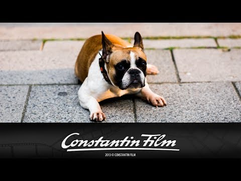 Trailer-Vorschau: Alles Inklusive