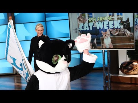 Cat Week Continues with Cats Behaving Badly