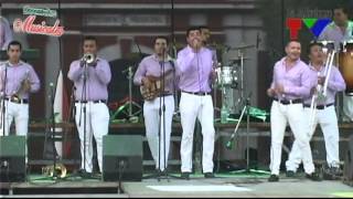 Borracho y loco, Banda BM3 de Bellavista