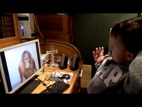 SANTIAGO MILLS MATEOS - MONKEY CHANGO