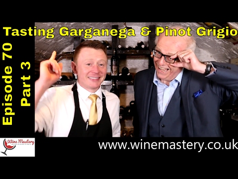 download lagu mp3 mp4 Garganega Pinot Grigio 2016, download lagu Garganega Pinot Grigio 2016 gratis, unduh video klip Garganega Pinot Grigio 2016