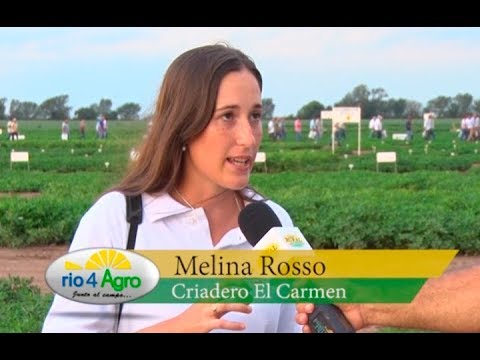 PROGRAMA RIO 4 AGRO 14 03 BLOQUE 2 - CRIADERO EL CARMEN