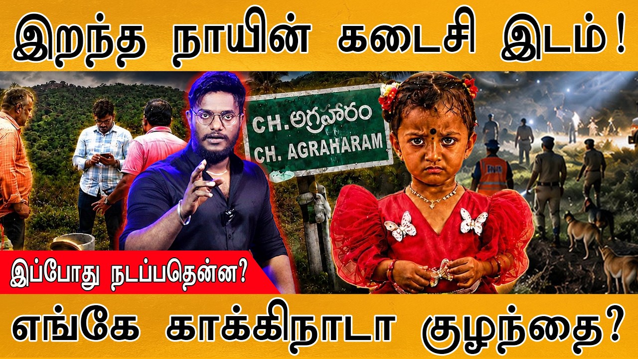 இறந்த நாயின் கடைசி இடம்! | இப்போது நடப்பதென்ன? | எங்கே ?
